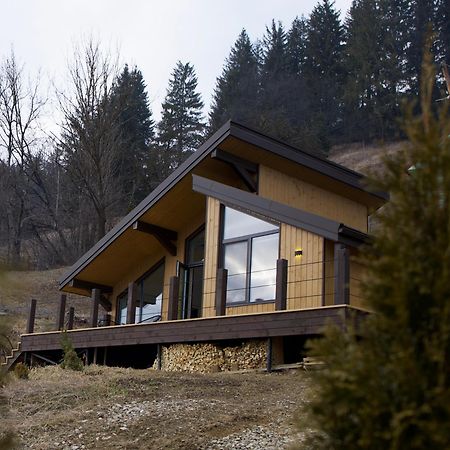 Petrick House Apartamento Verkhovyna Exterior foto