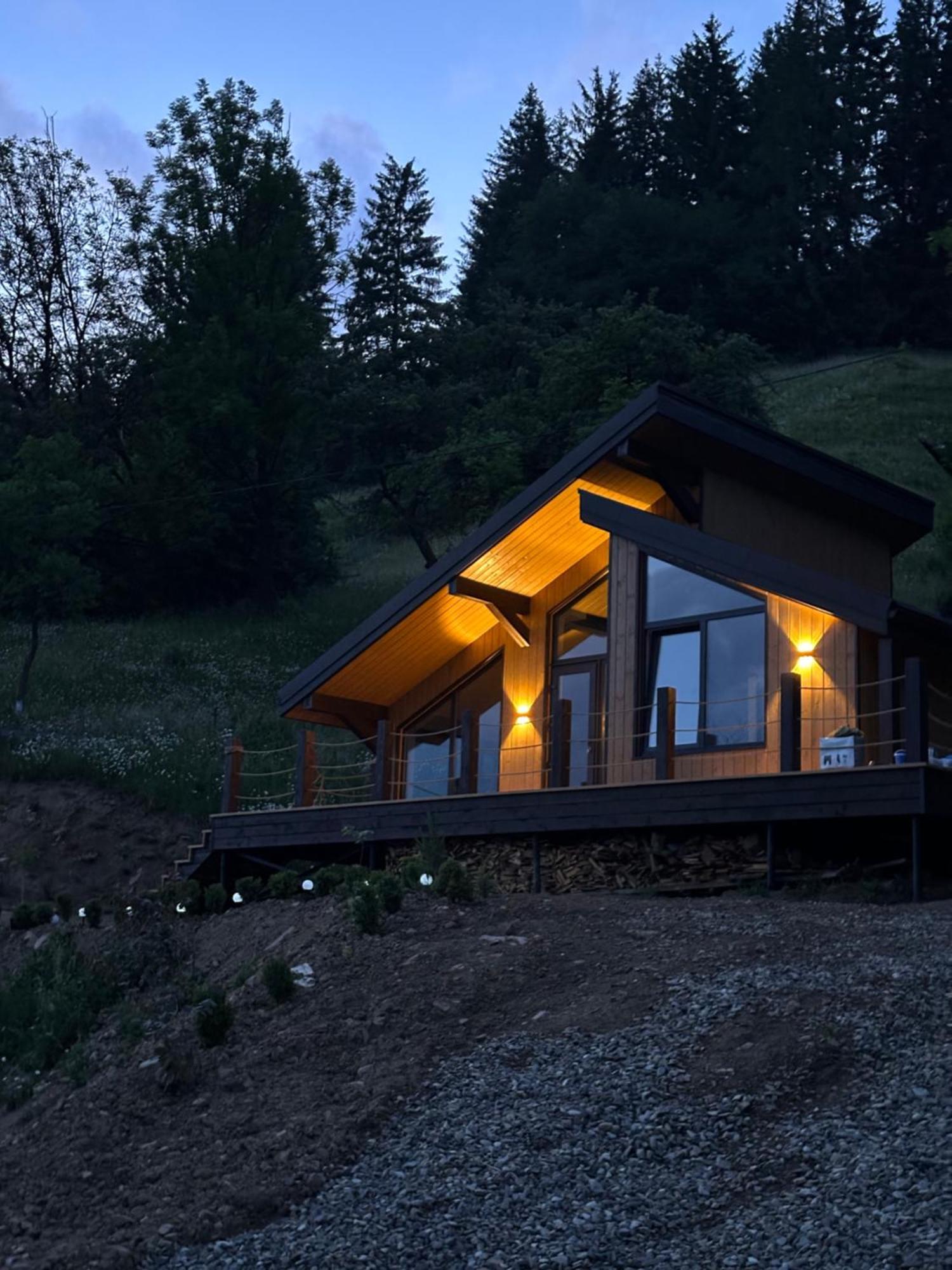 Petrick House Apartamento Verkhovyna Exterior foto